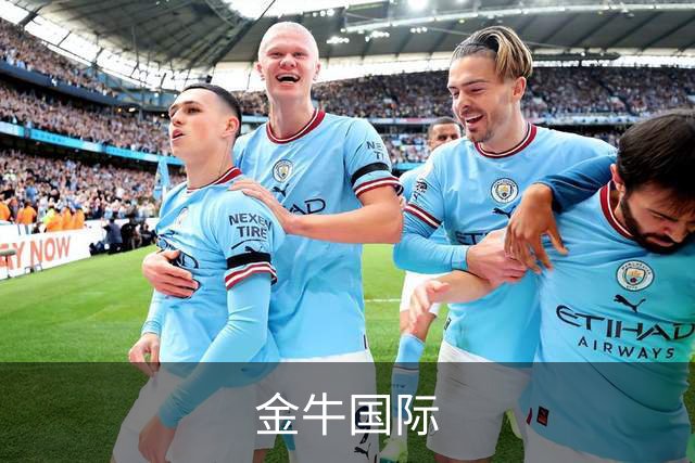 金牛国际公司简介图片